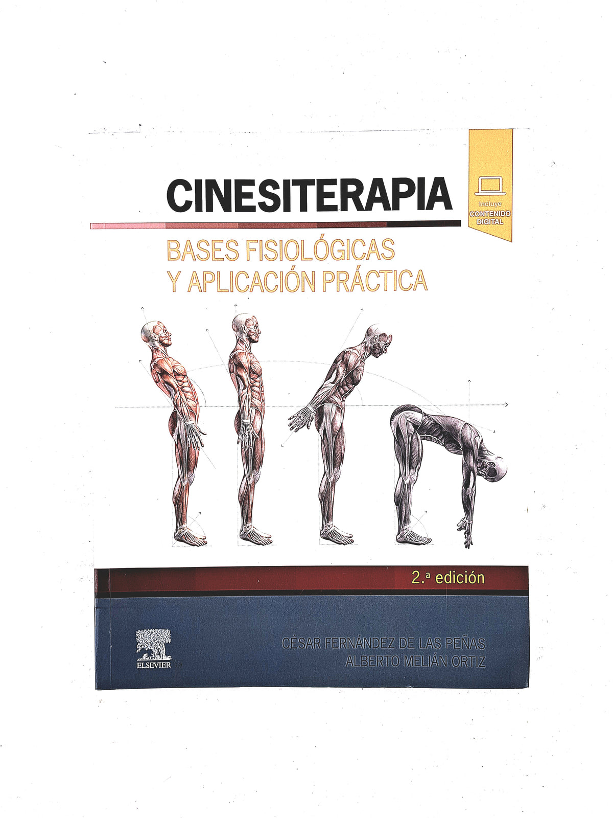 Cinesiterapia bases fisiológicas y aplicación práctica segunda edición by César Fernández de las Peñas Alberto Melián Ortiz