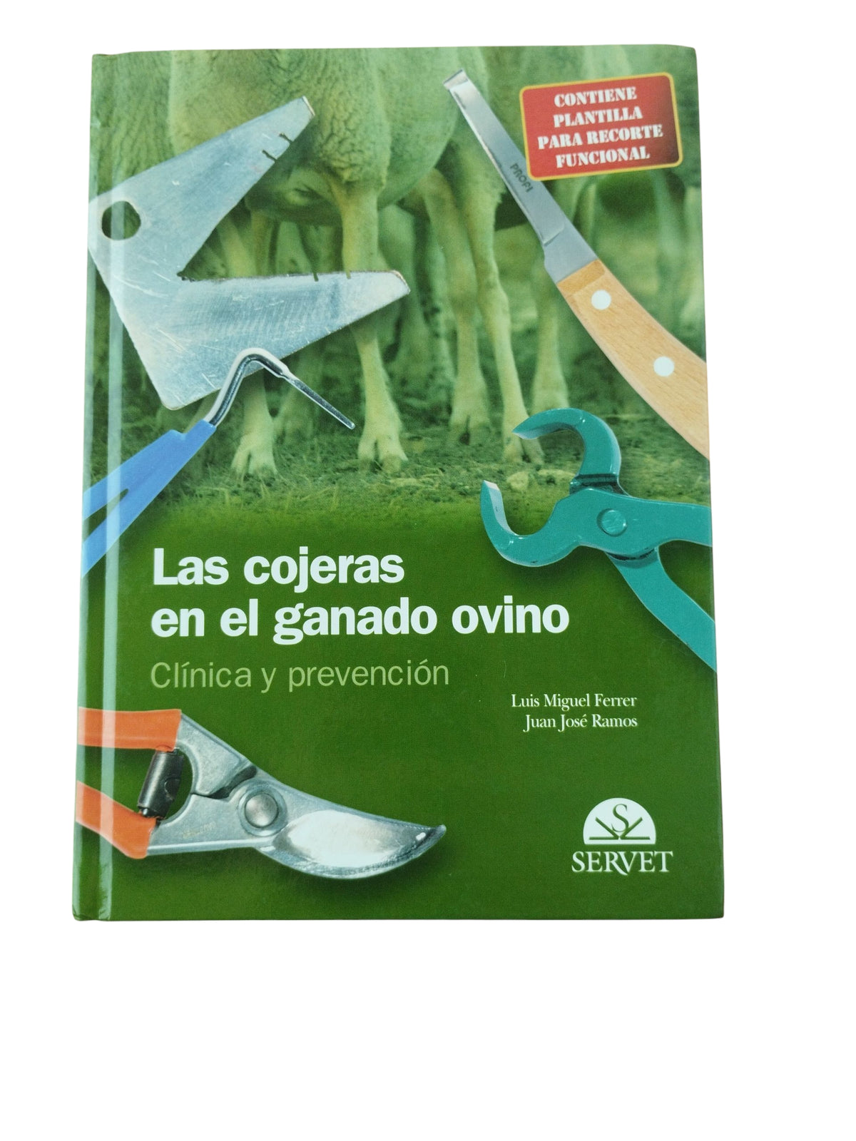 Las cojeras en el ganado ovino by Luis Miguel Ferrerer Juan Jose Ramos RAMOS