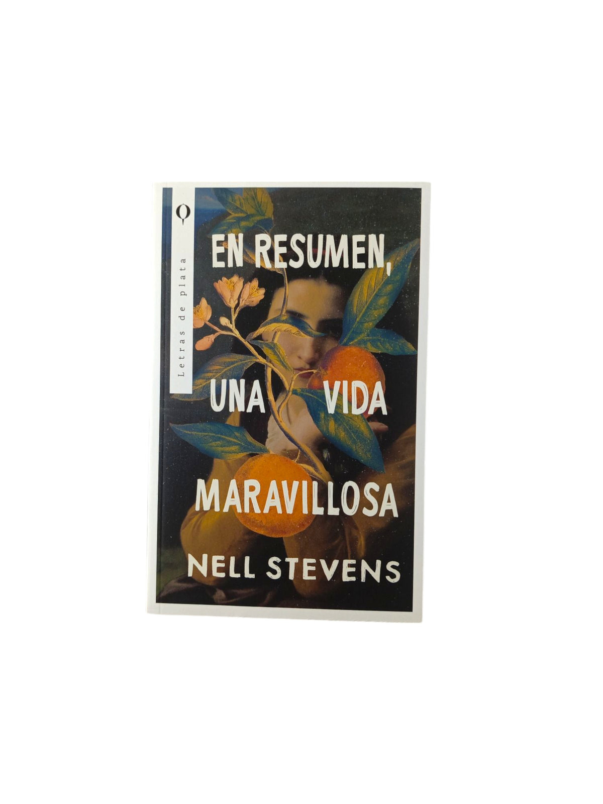 En resumen, una vida maravillosa by Nell Stevens