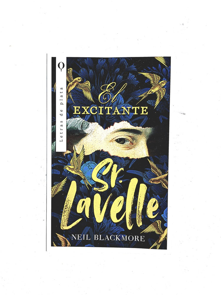 El excitante sr Lavelle by Neil Black More