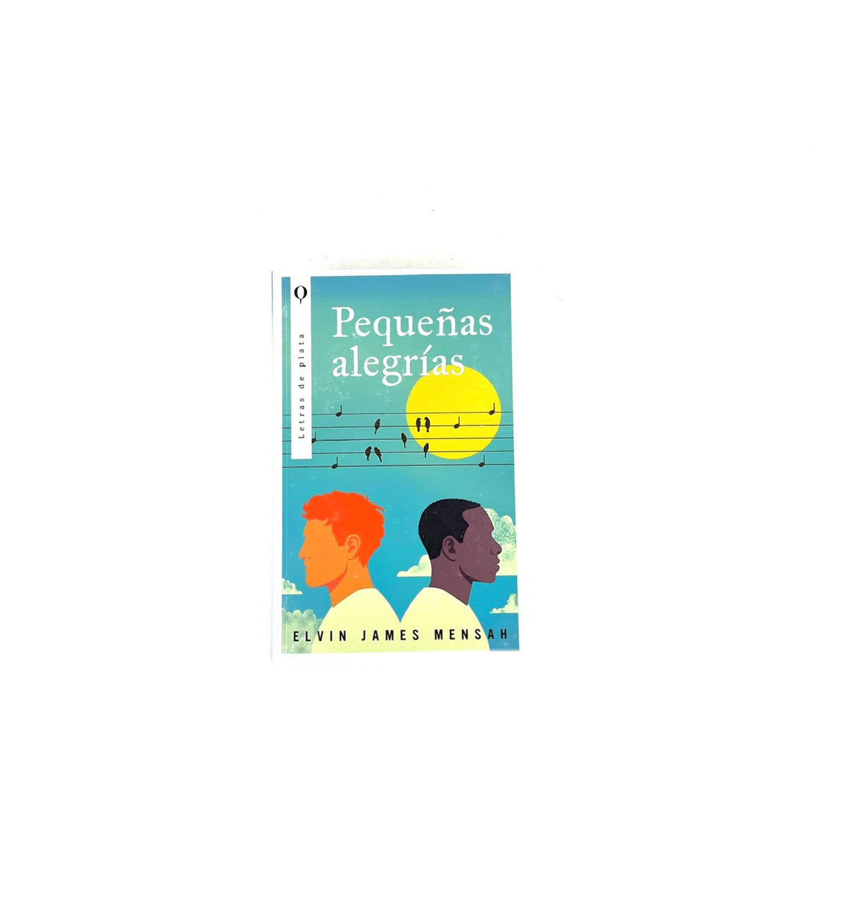 Pequeñas alegrías by Elvin James Mensah
