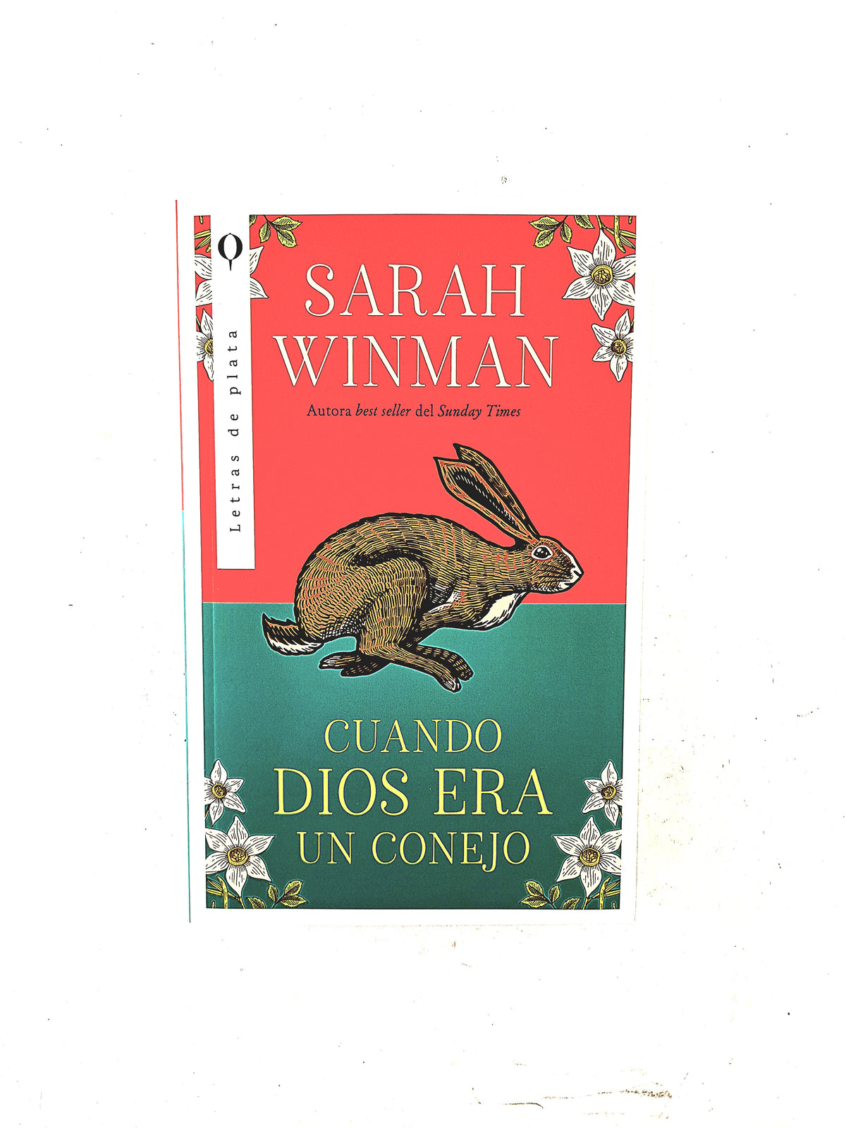 Cuando Dios era un conejo by Sarah Winman