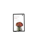 Sanshiro by Natsume Soseki