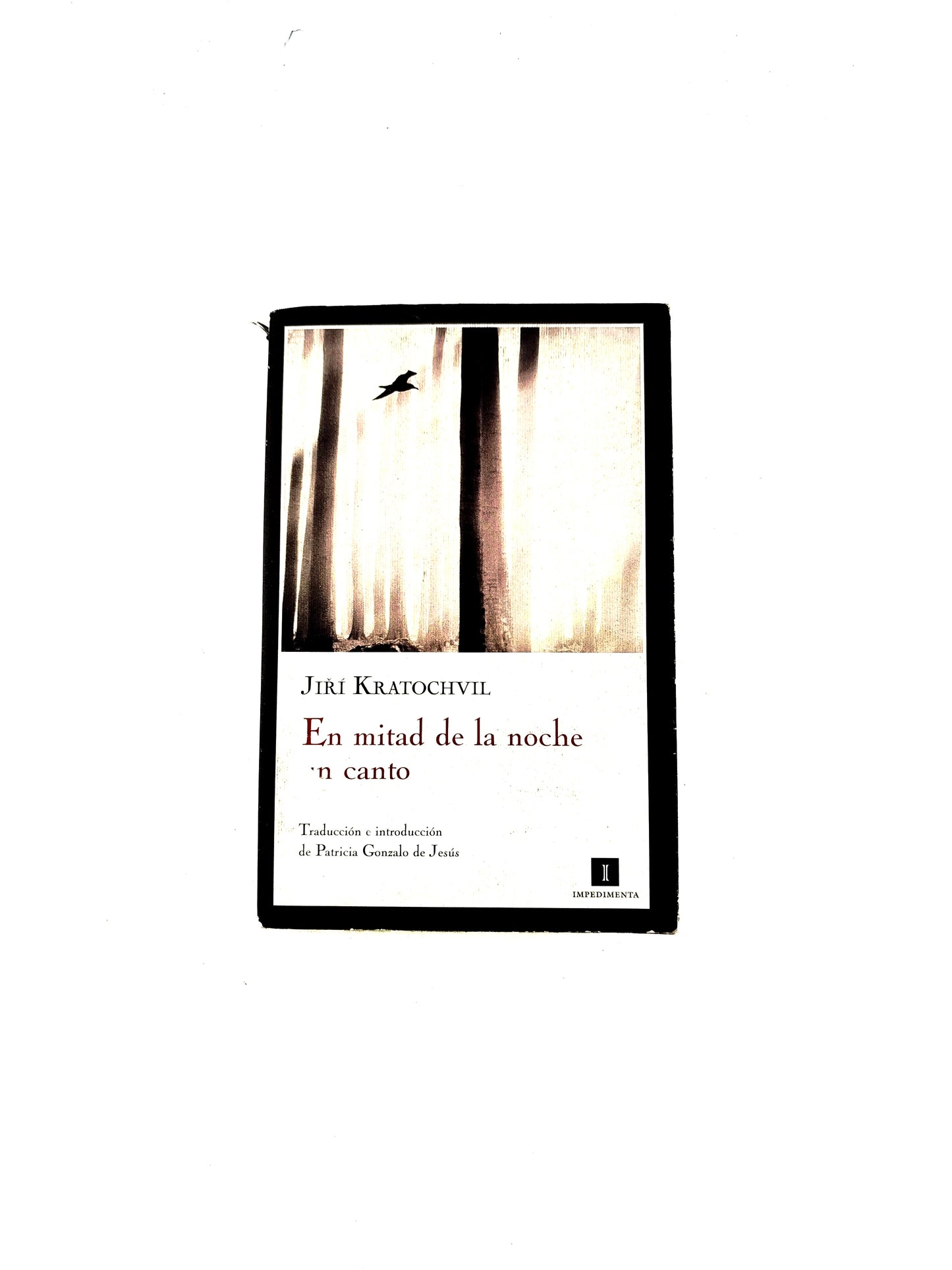 En mitad de la noche un canto