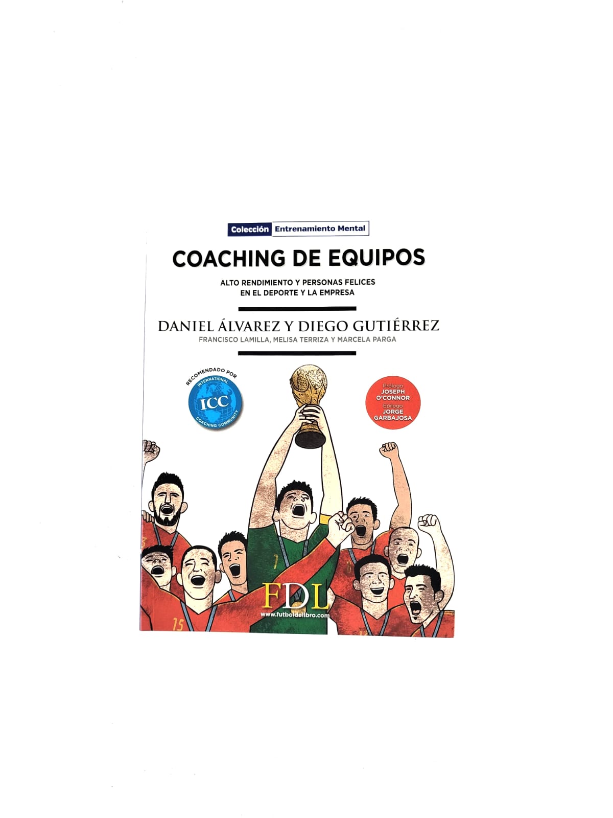 Coaching de equipos