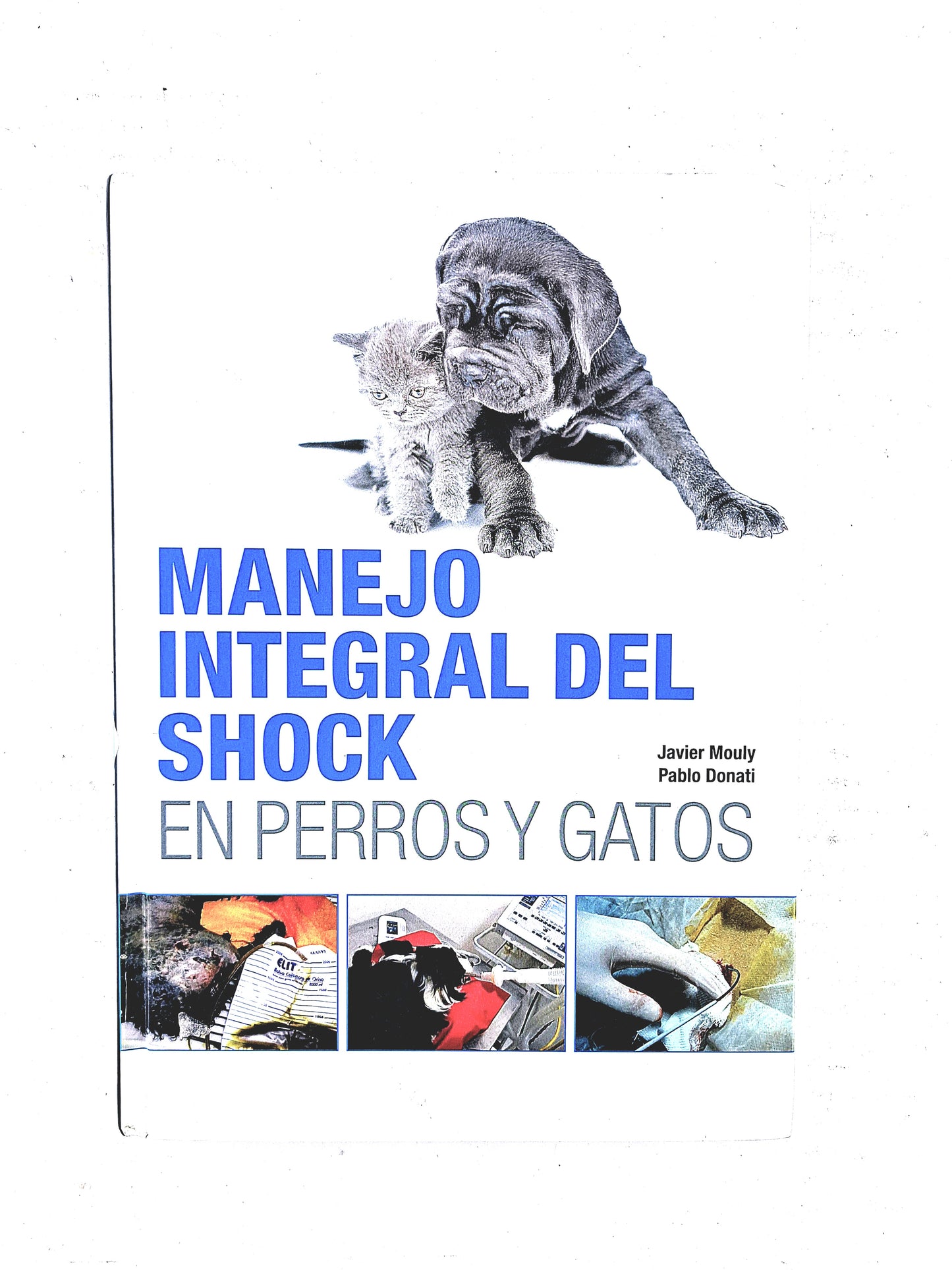 Manejo integral del shock en perros y gatos