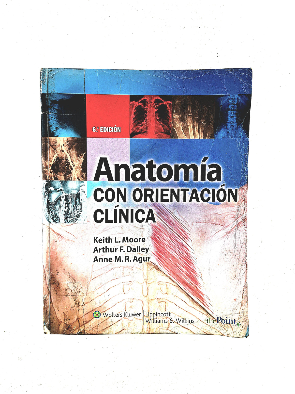 Anatomía con orientación clínica sexta edición by Keith L. Moore Arthur F. Dallay Anne M.R. Agur
