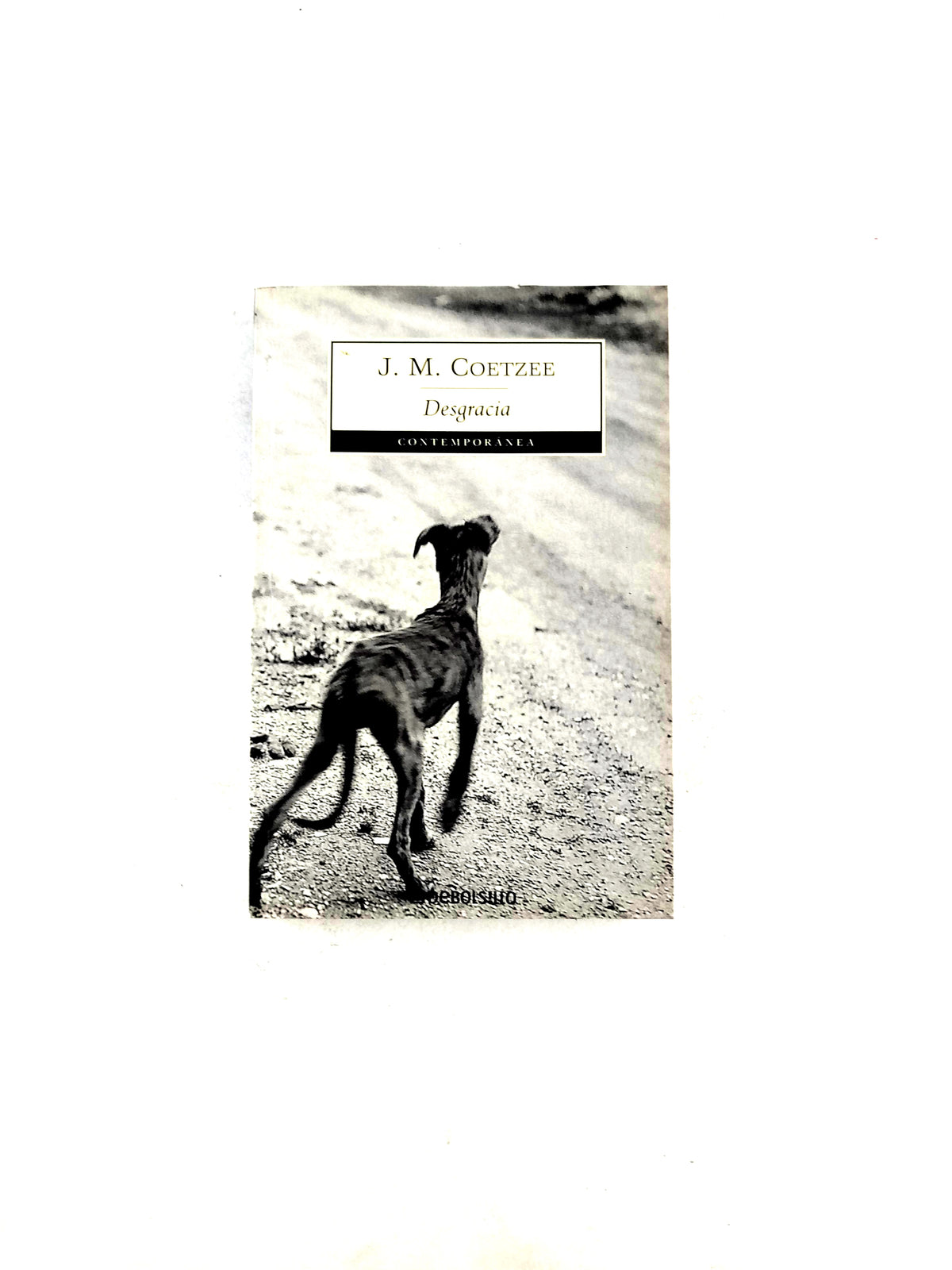 Desgracia by J.M. Coetzee