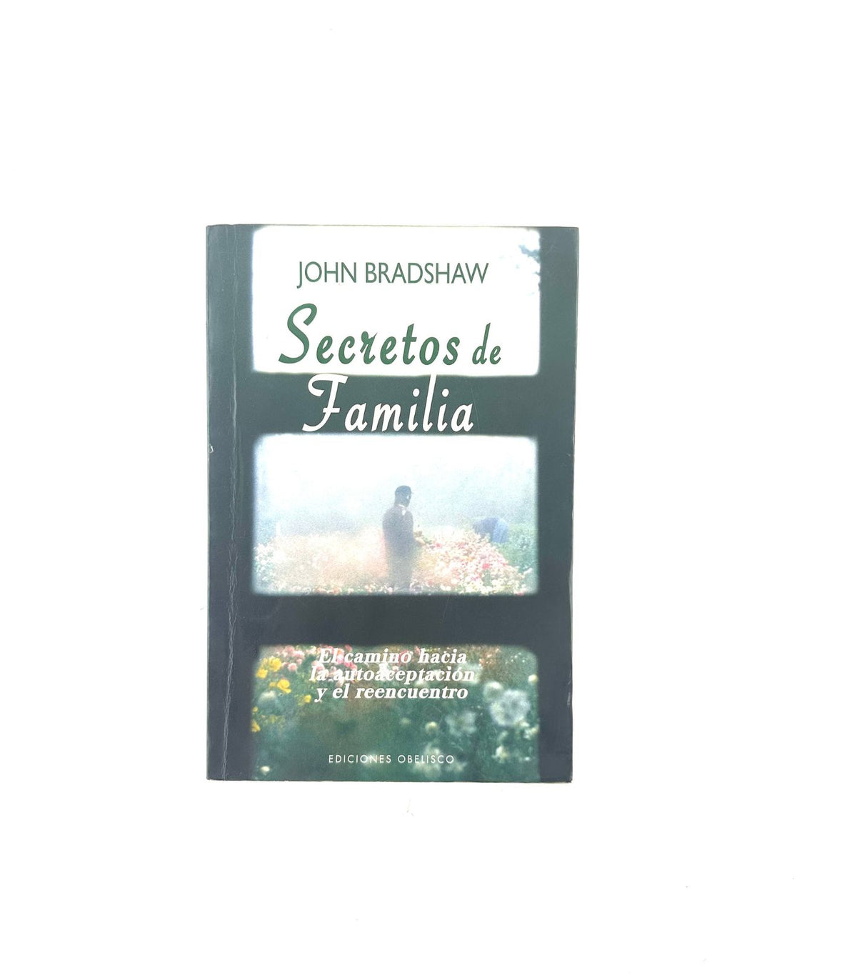 Secretos de familia by John Bradshaw