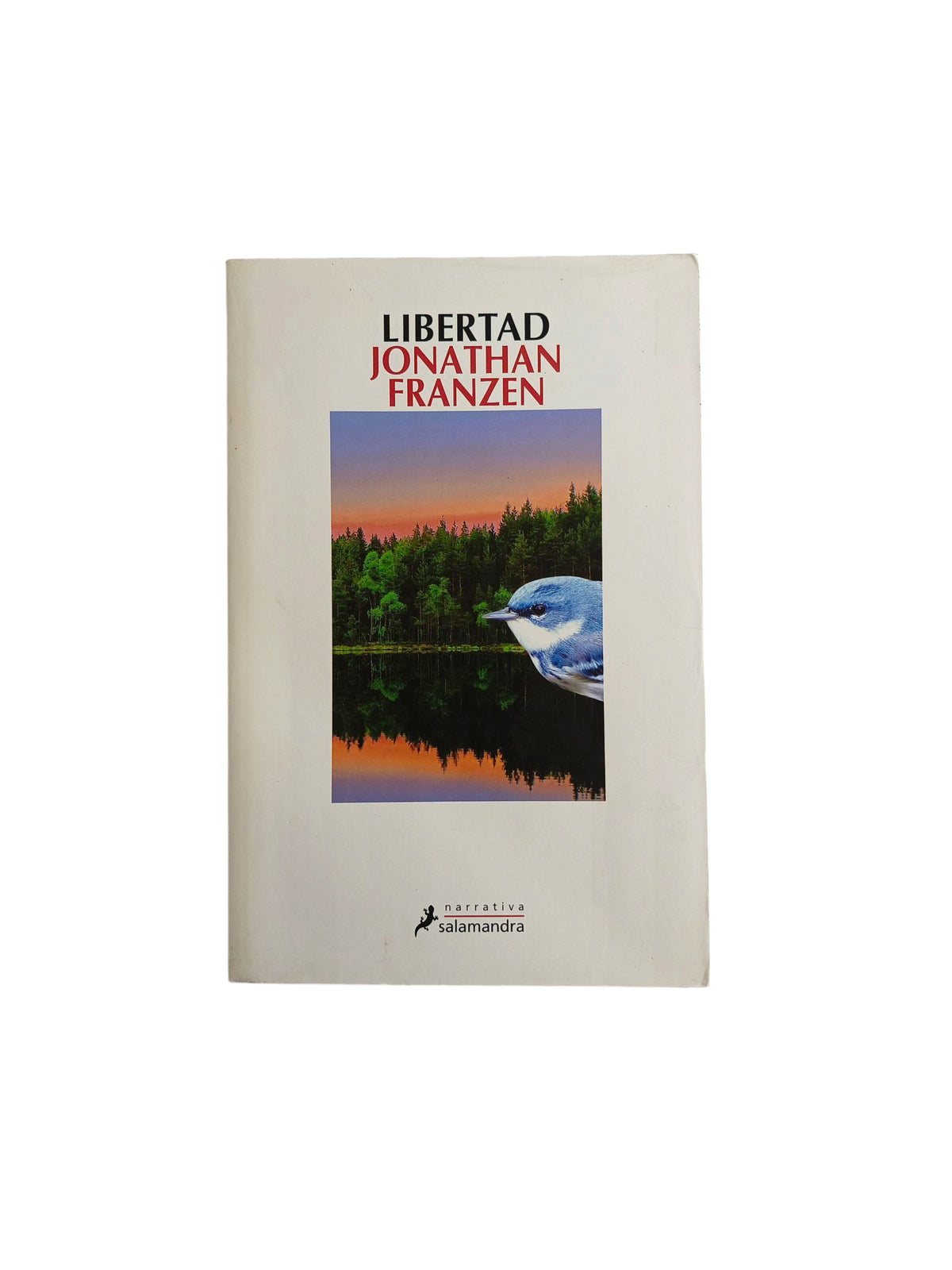 Libertad by Jonathan Franzen