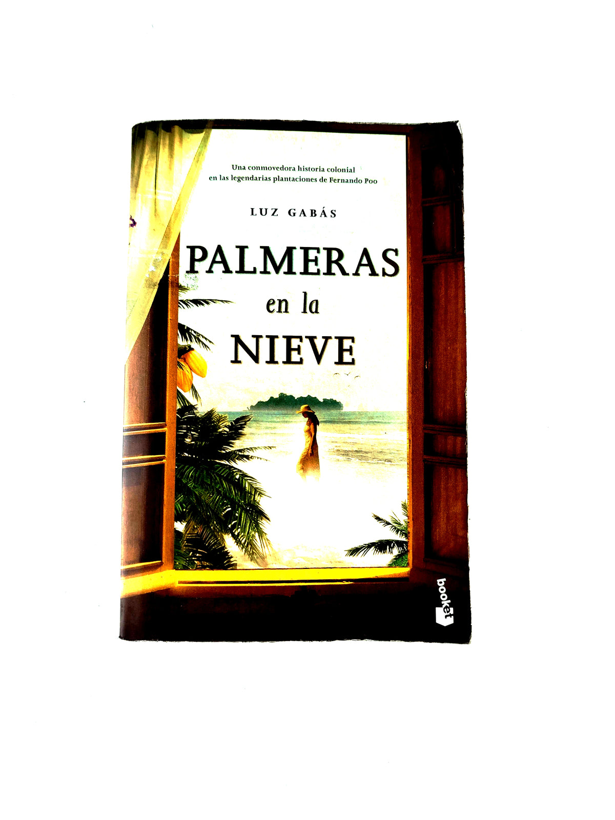 Palmeras en la Nieve by Luz Gabás