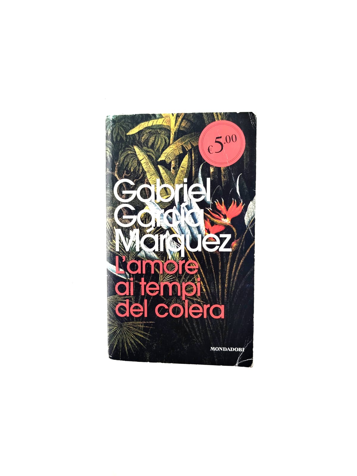 L'amore ai tempi del colera by Gabriel García Márquez