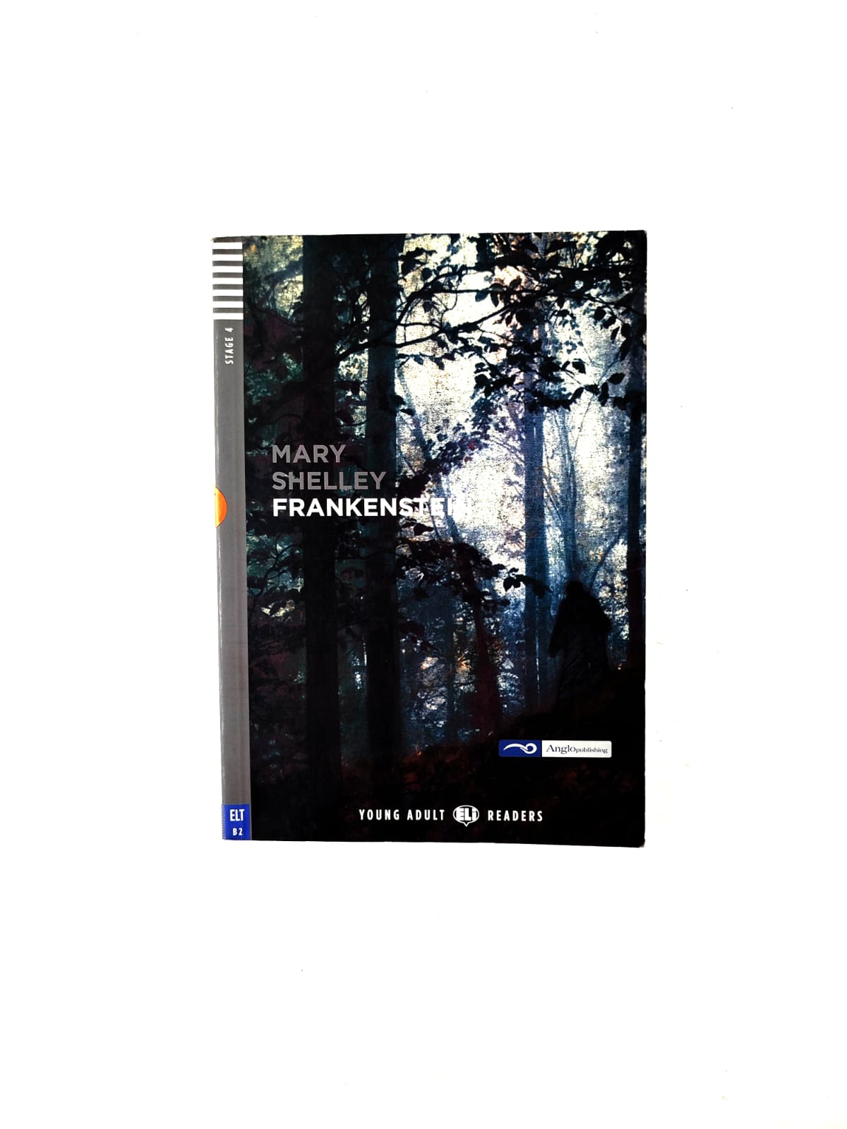 Frankenstein by Mary Shelley