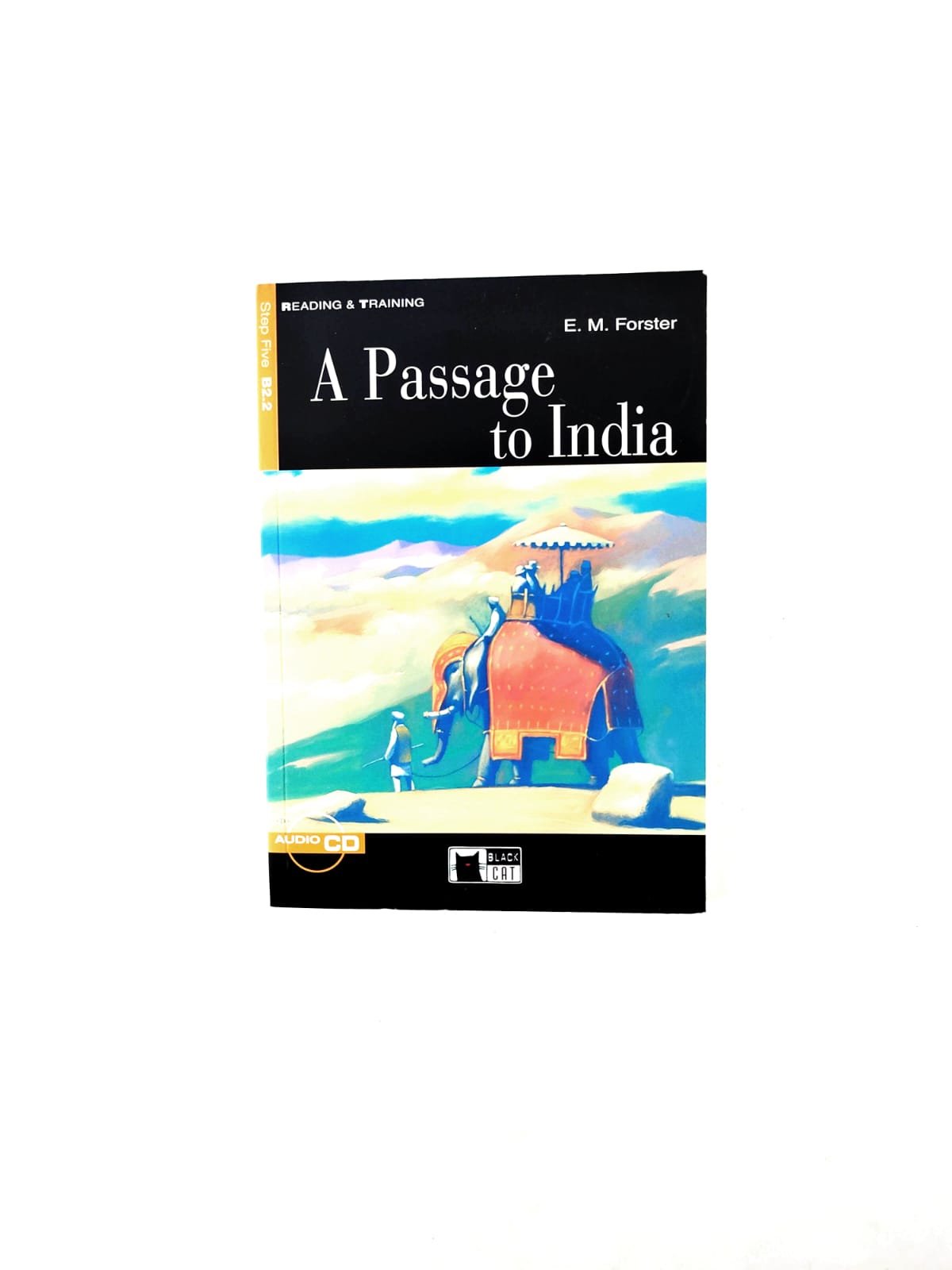A passage to India by E M Forster