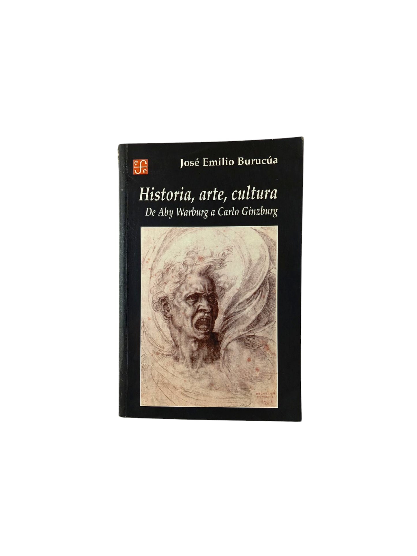 Historia, Arte, Cultura De aby Warburg a Carlo Ginzburg by José Emilio Burucúa