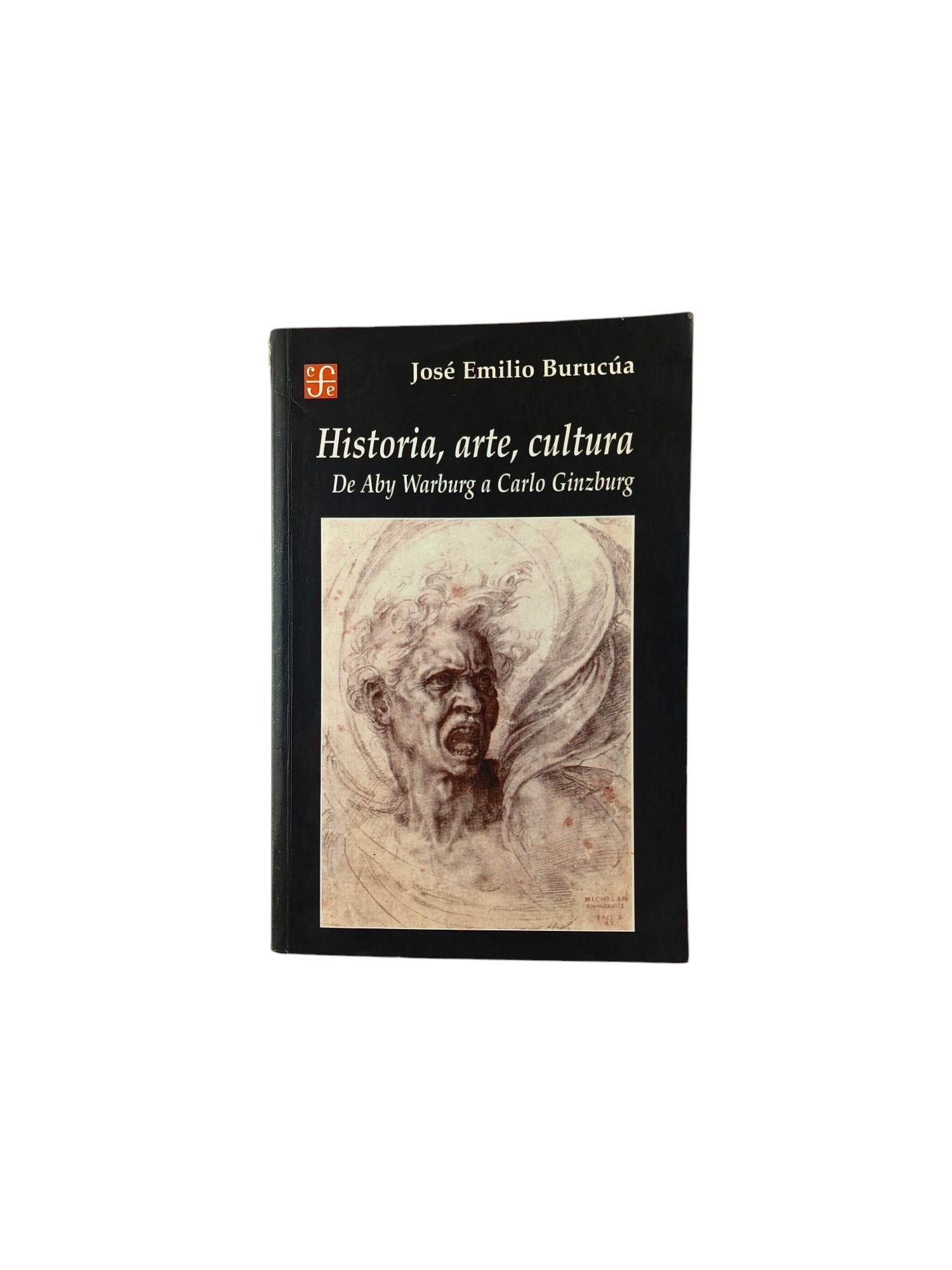 Historia, Arte, Cultura De aby Warburg a Carlo Ginzburg by José Emilio Burucúa