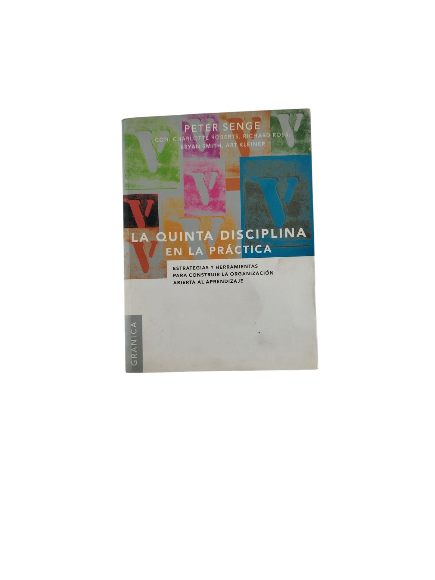 La Quinta Disciplina en La Práctica