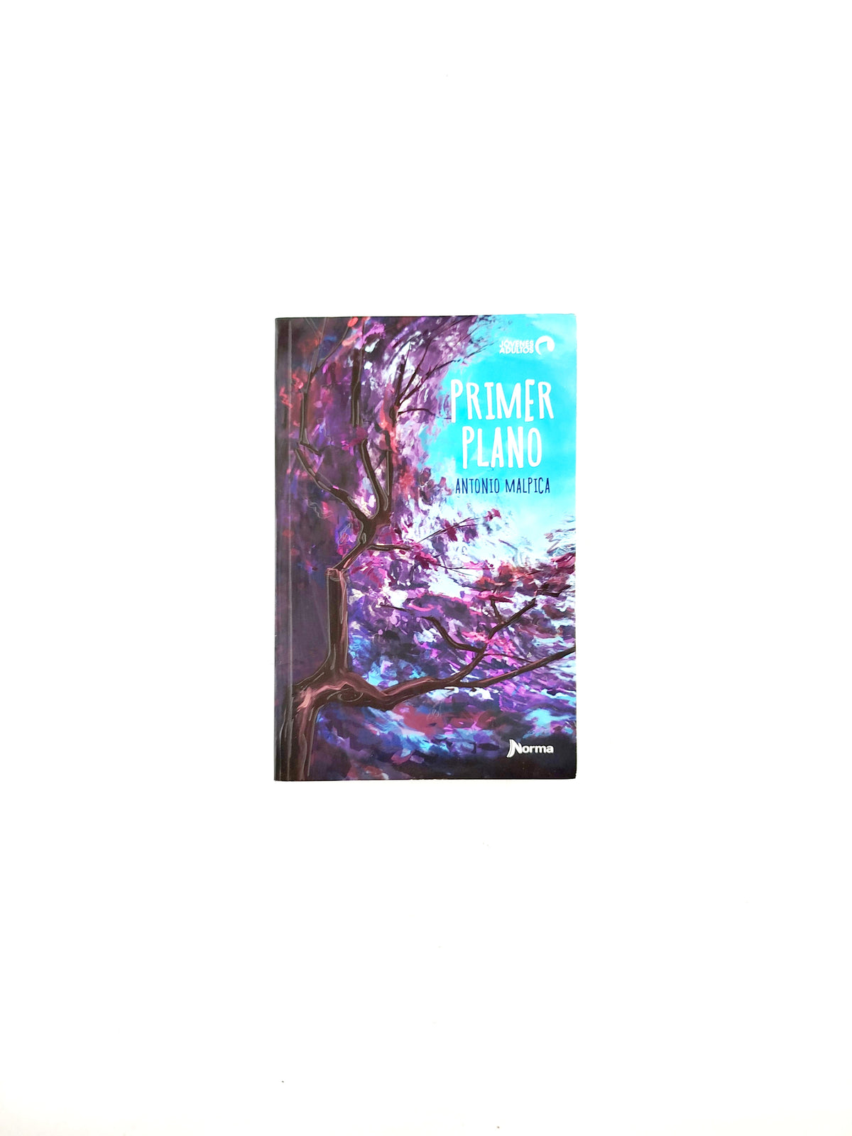 Primer plano by Antonio Malpica
