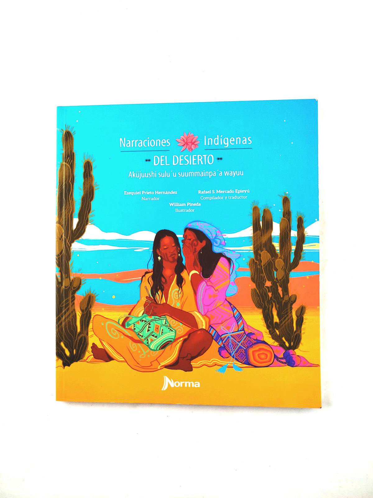 Narraciones indígenas del desierto by Rafael Mercado Epieyu