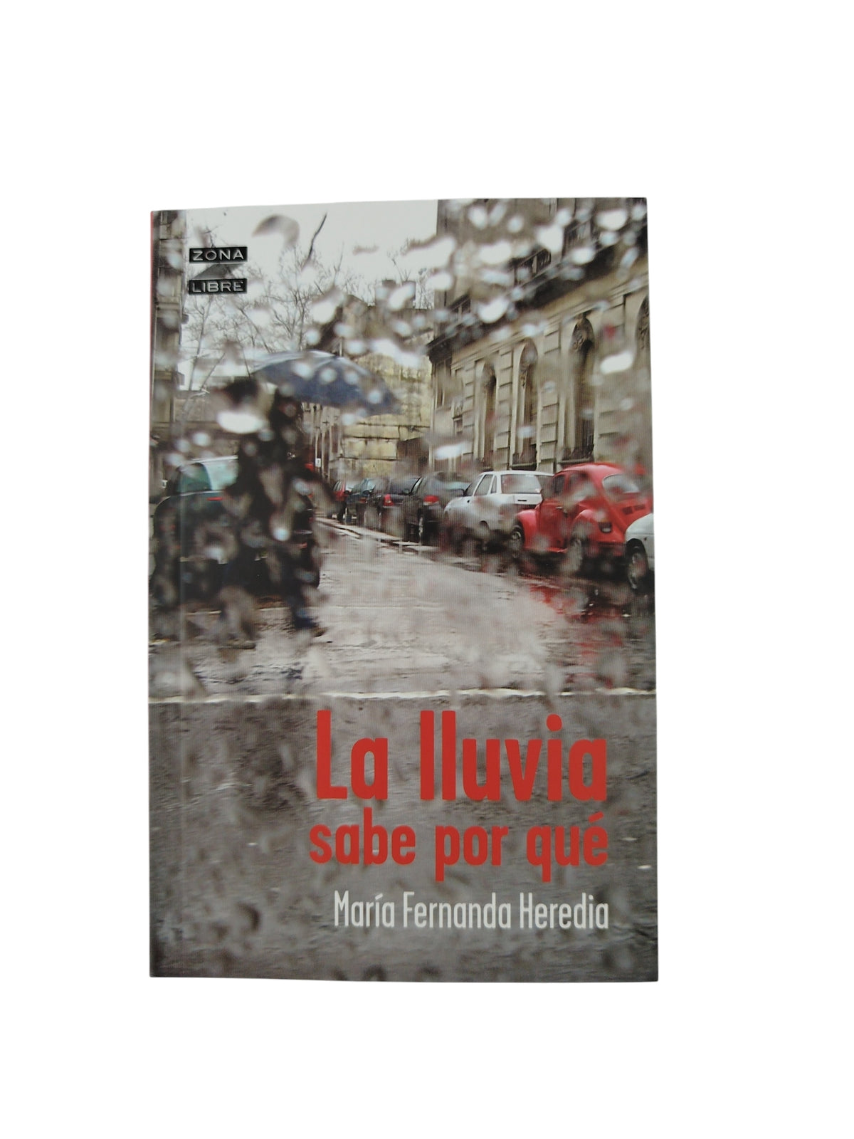 La Lluvia Sabe Por Qué by María fernanda heredia