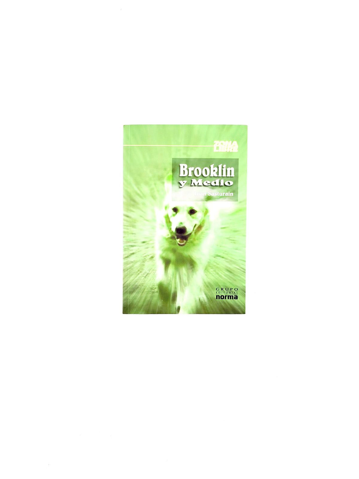 Brooklin y medio by Juan Sasturain