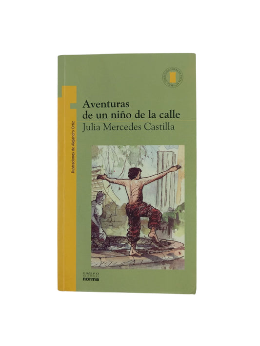 Aventuras de un niño de la calle by Julia Mercedes Castilla