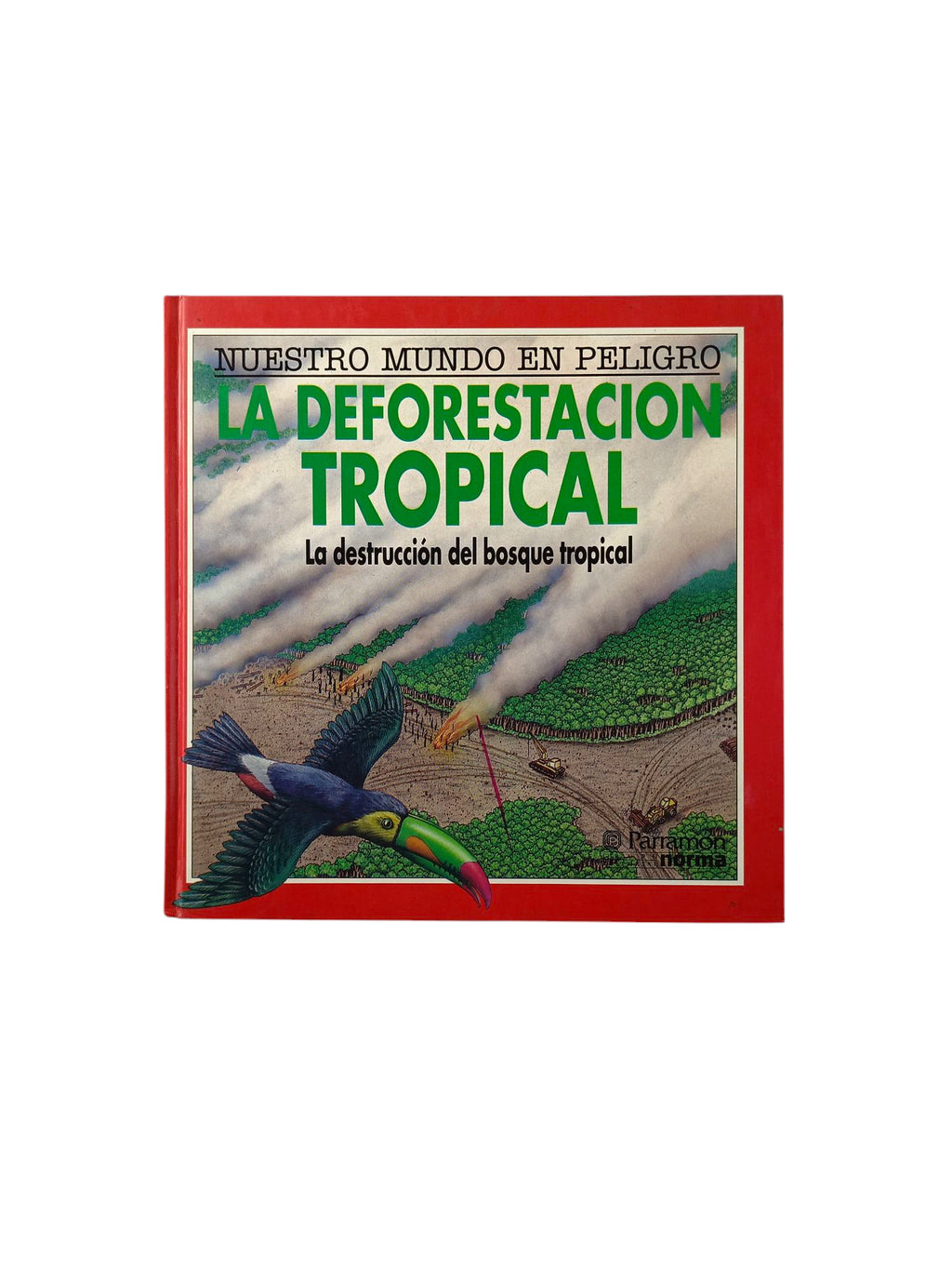 La deforestación tropical la destrucción del bosque tropical by M Bright