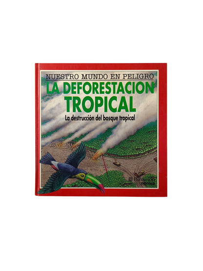 La deforestación tropical la destrucción del bosque tropical