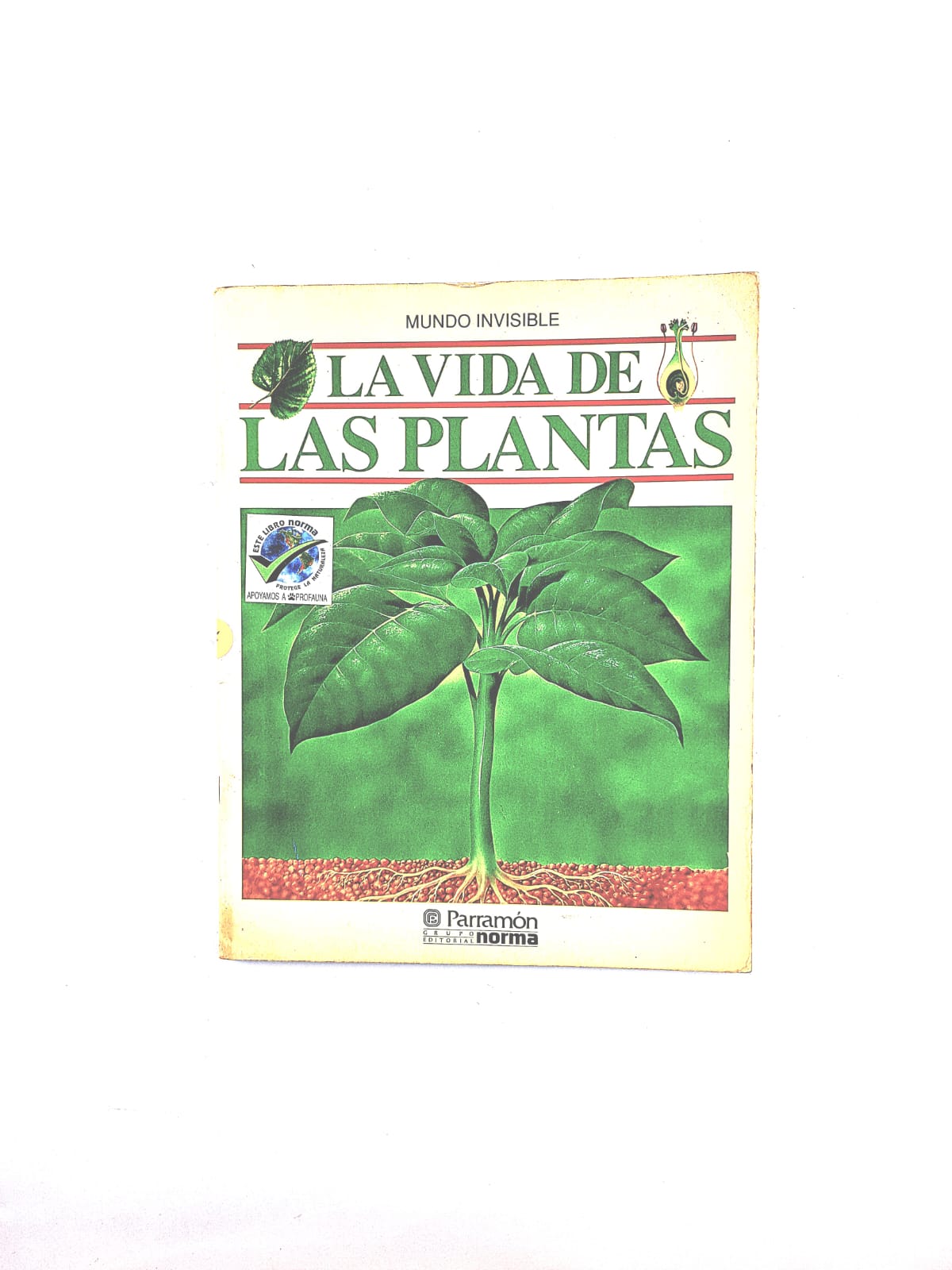 La vida de las plantas by Mundo invisible