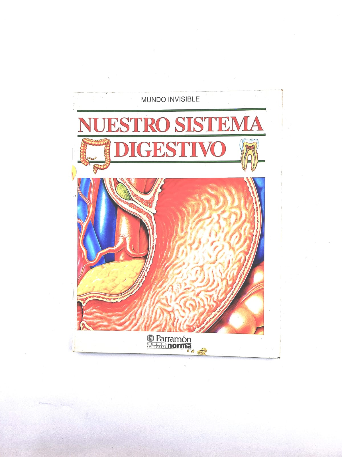 Nuestro sistema digestivo by Mundo invisible