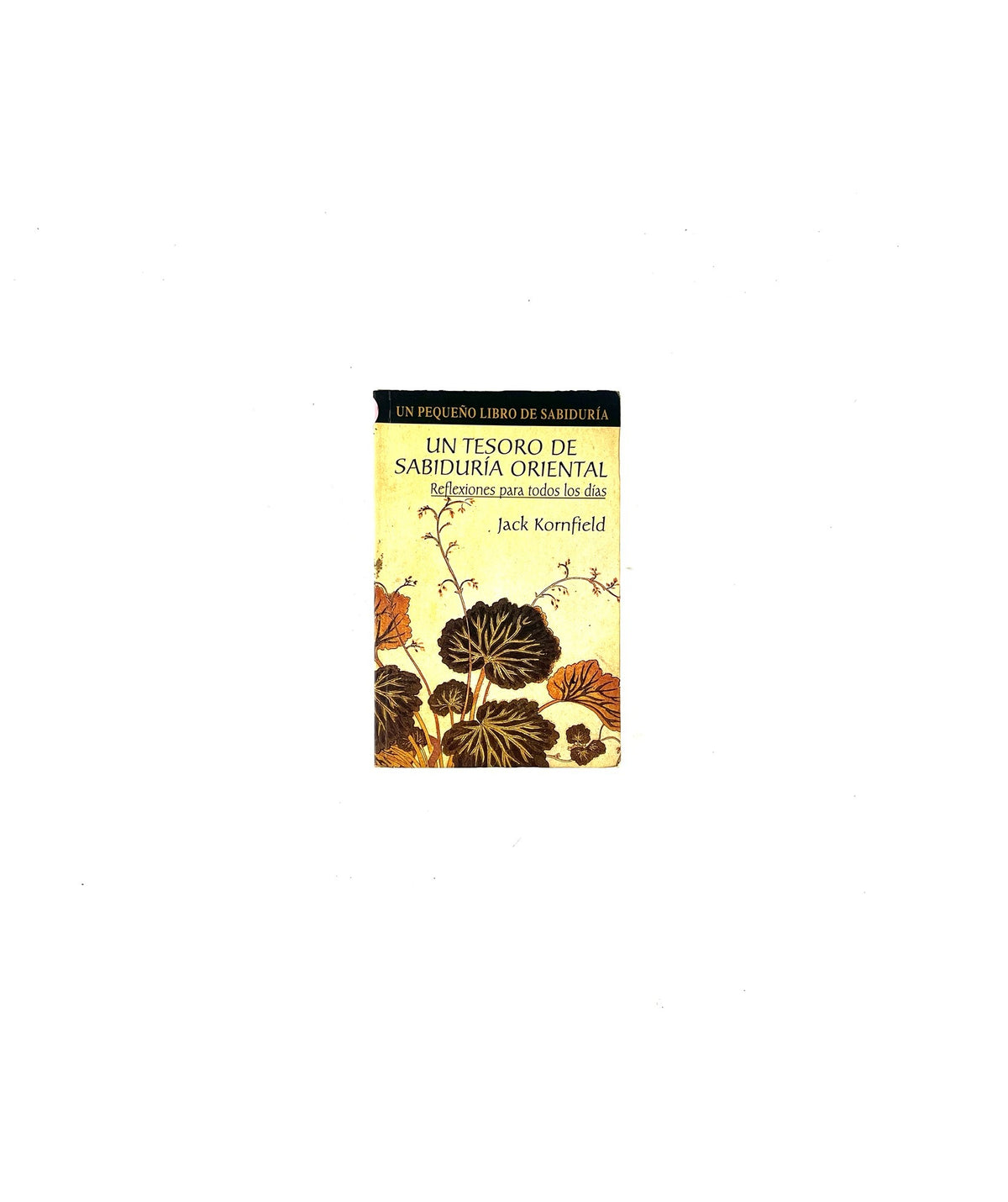 Un tesoro de sabiduría oriental by Jack Kornfield