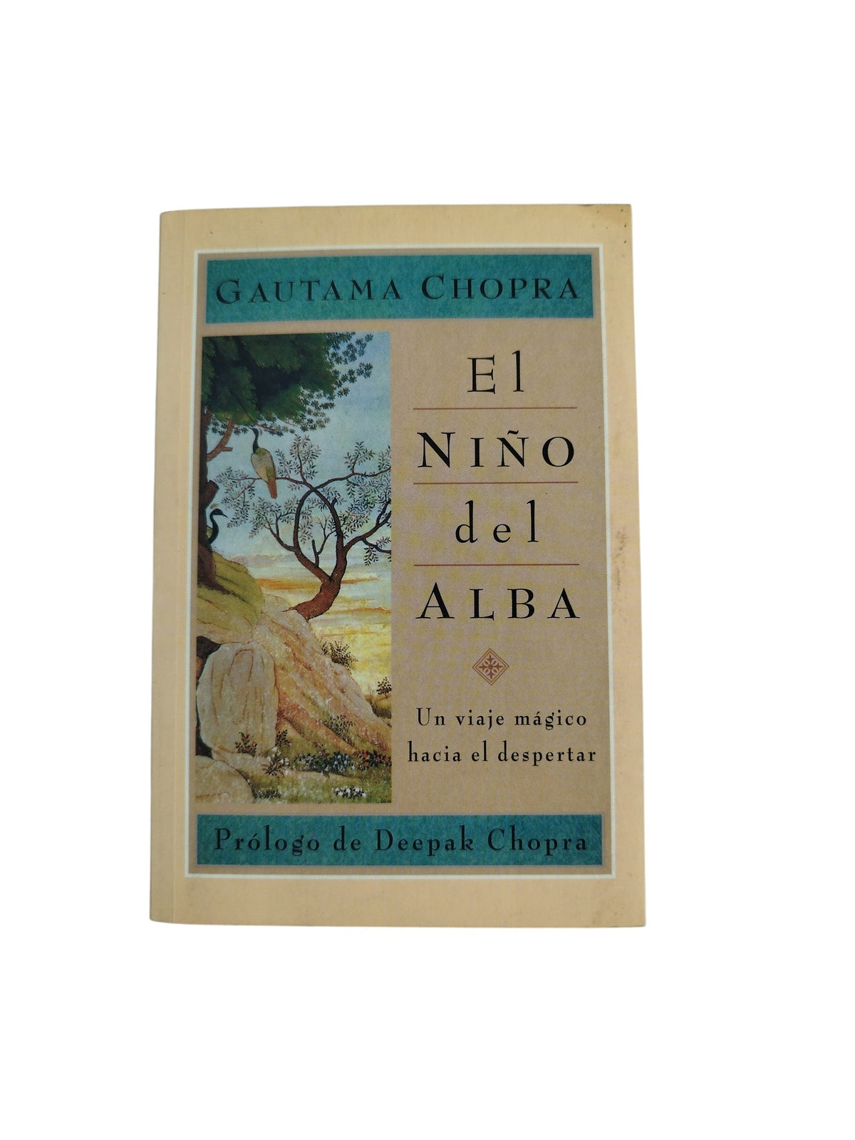 El niño del alba by Gautama chopra