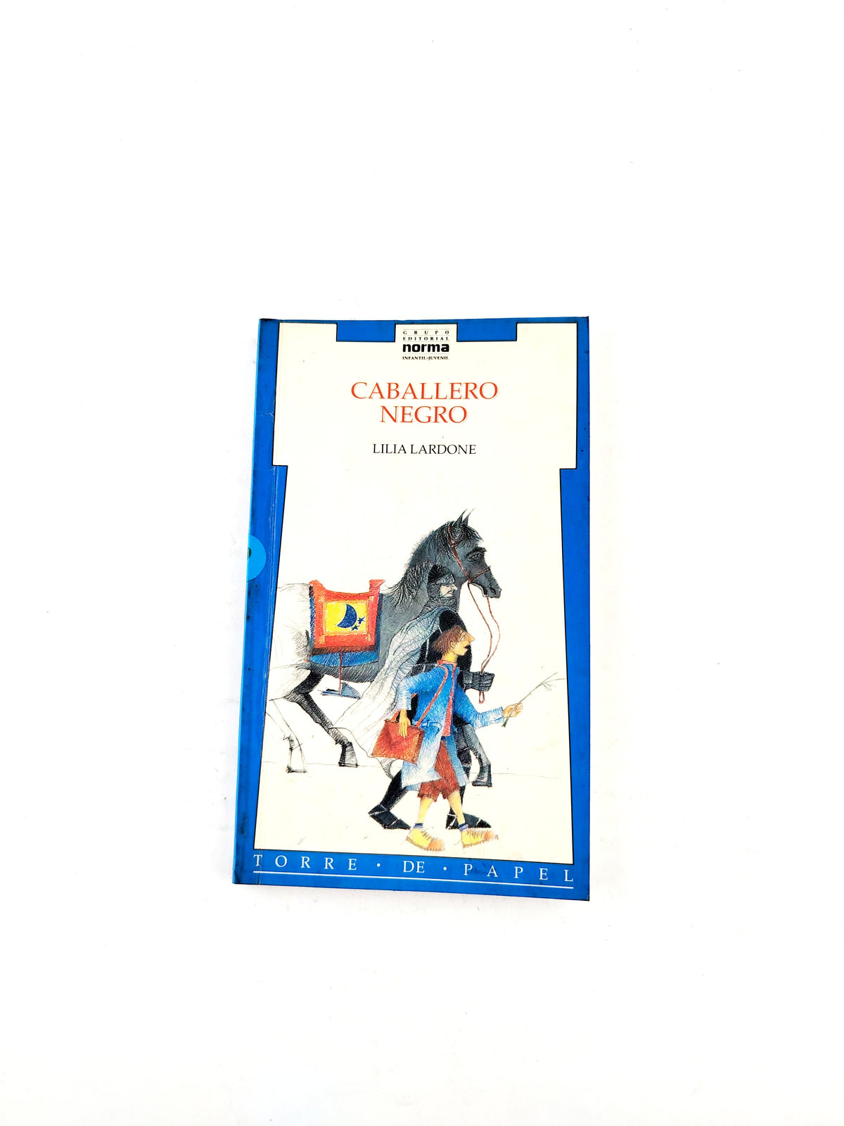 Caballero negro by Lilia lardone