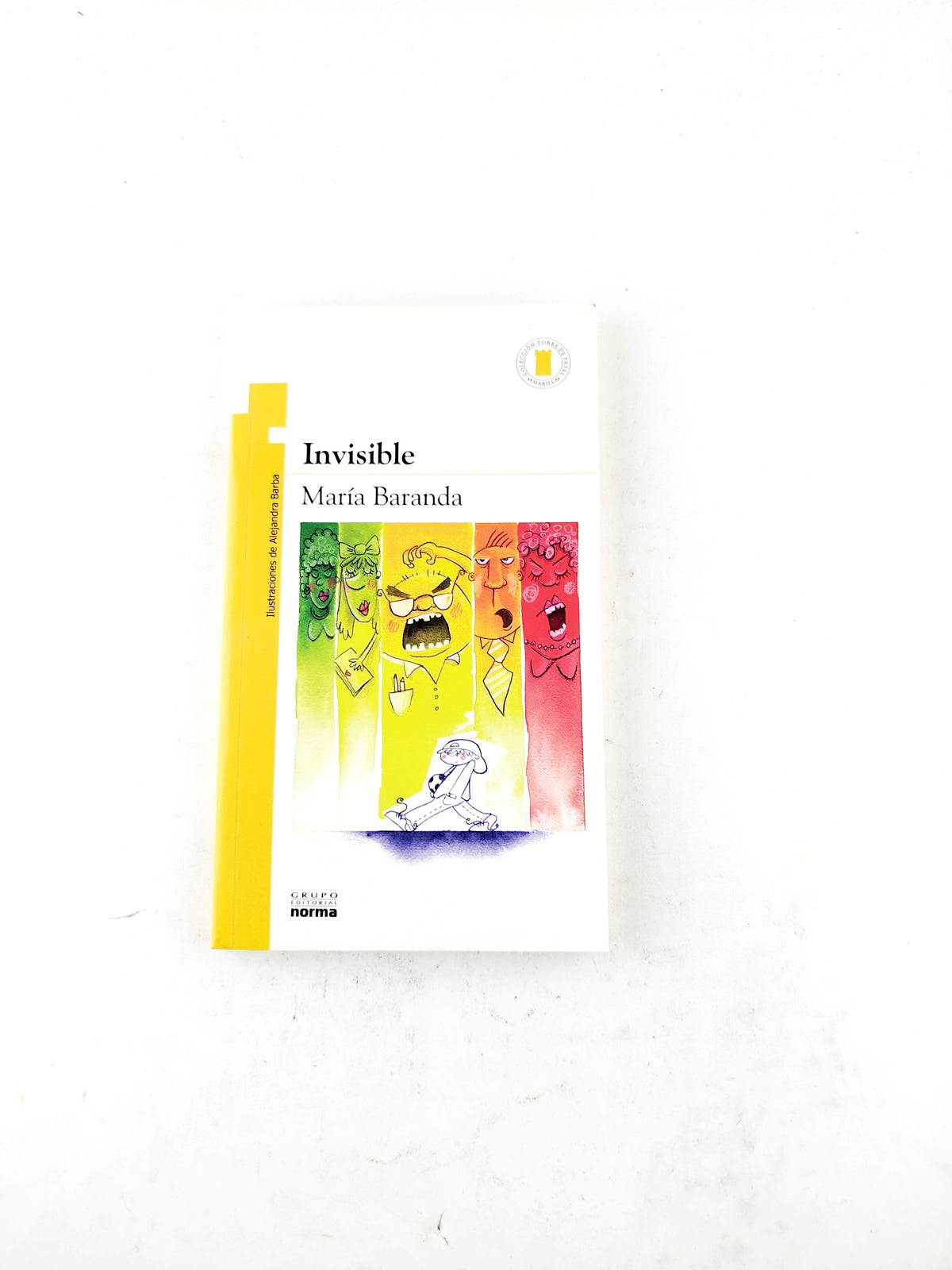 Invisible libro by María Baranda
