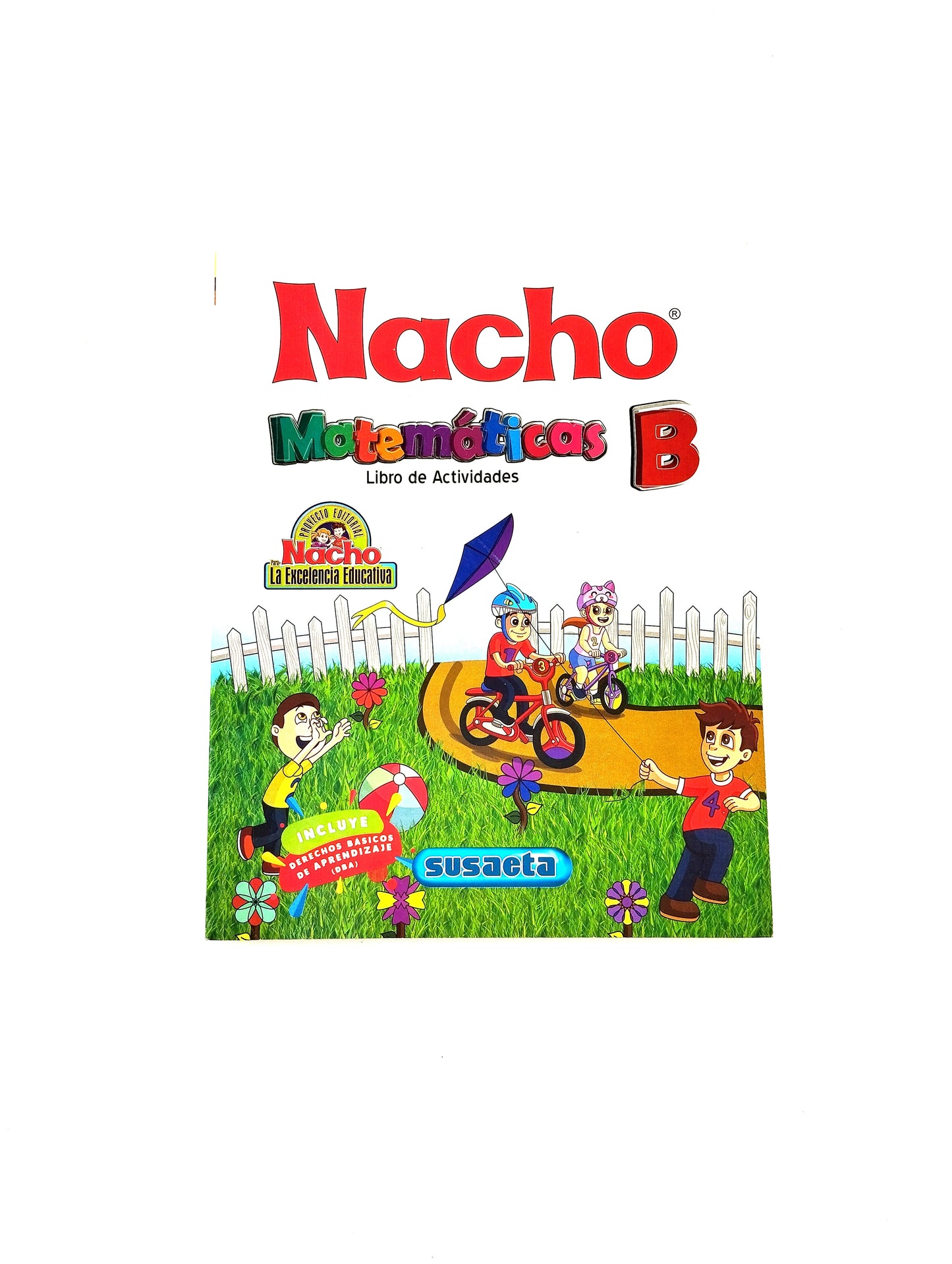 Nacho matemáticas B