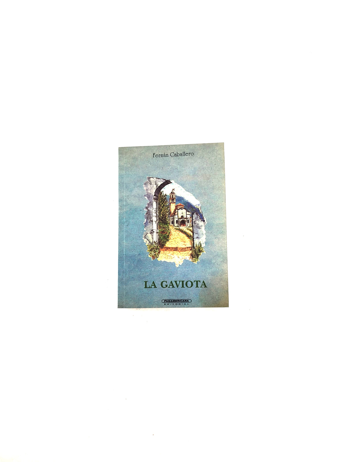 La gaviota by Fernando Caballero