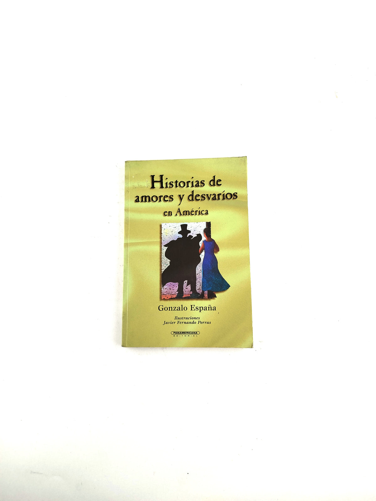 Historias de amores y desvaríos en América by Gonzalo España