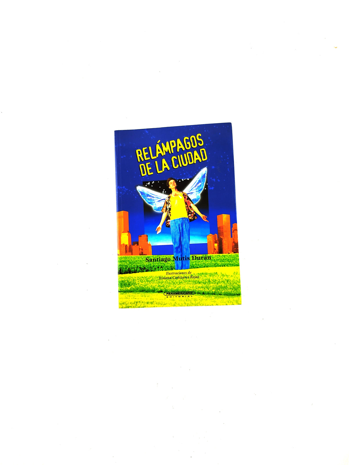 Relámpagos de la ciudad by Santiago Mutis Durán