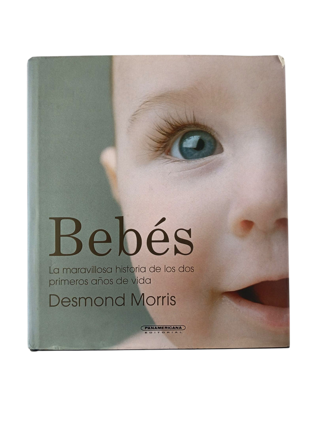 Bebés la maravillosa historia de los dos primeros años de vida by Desmond Morris