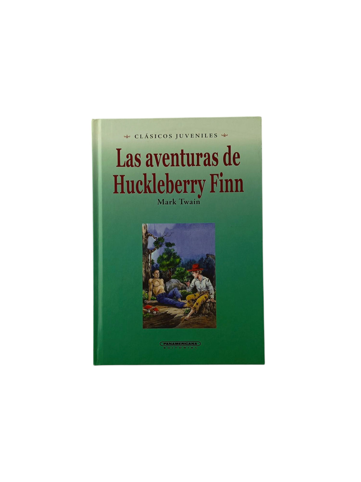 Las aventuras de Huckleberry Finn by Mark Twain