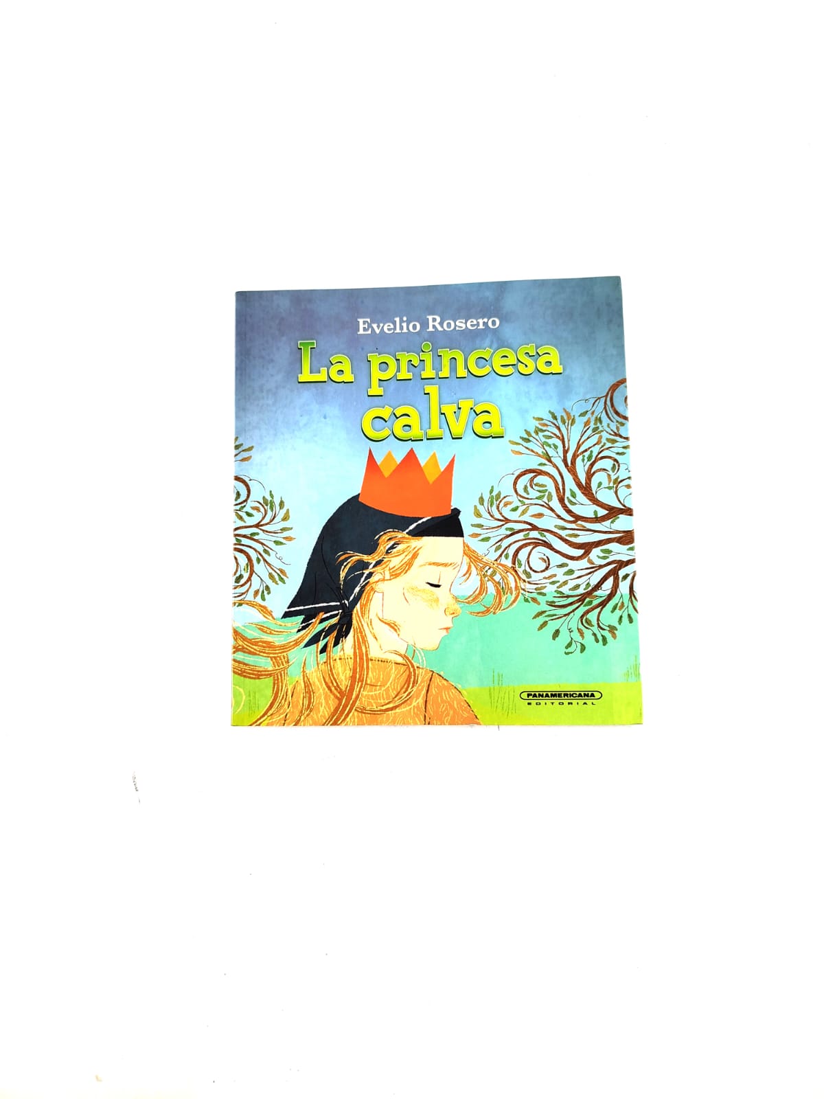 La princesa calva by Evelio Rosero