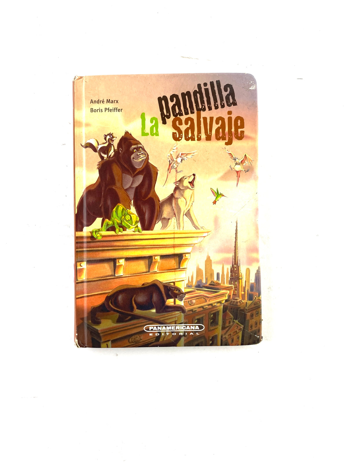 La pandilla salvaje by André Marx