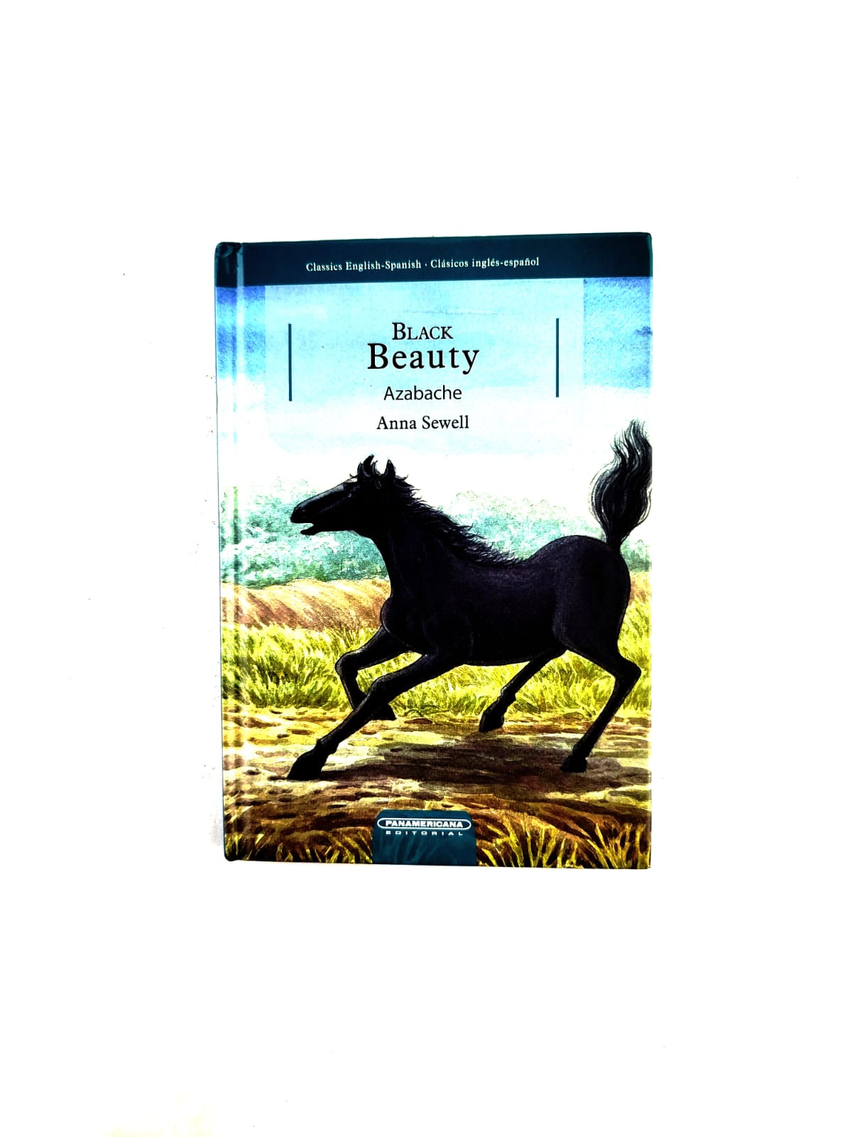 Black beauty by Anna Sewell