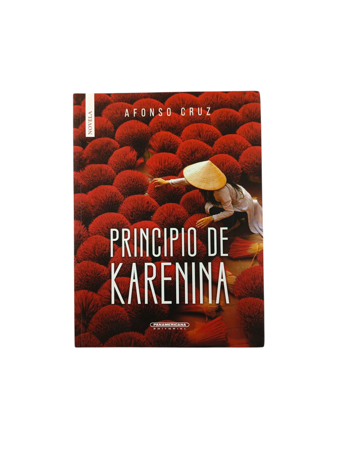Principio de Karenina by Afonso Cruz