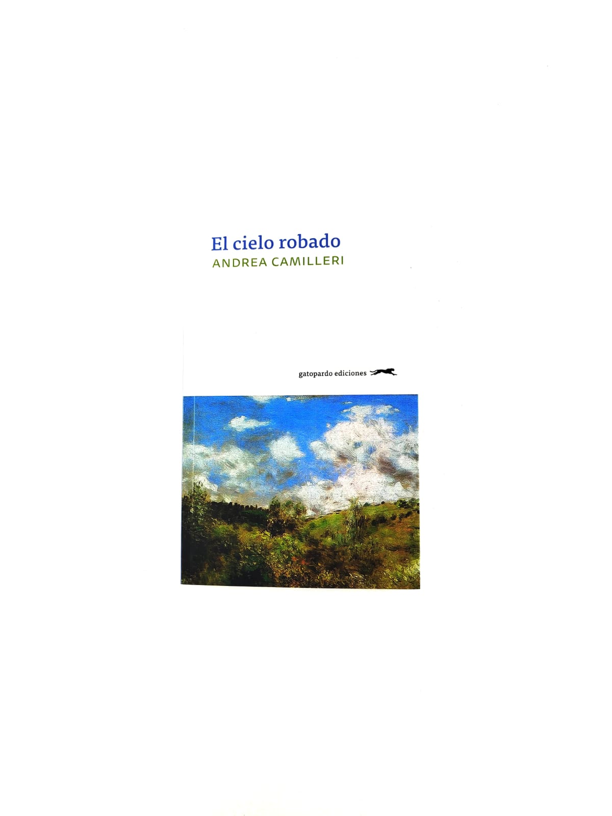 El cielo robado
