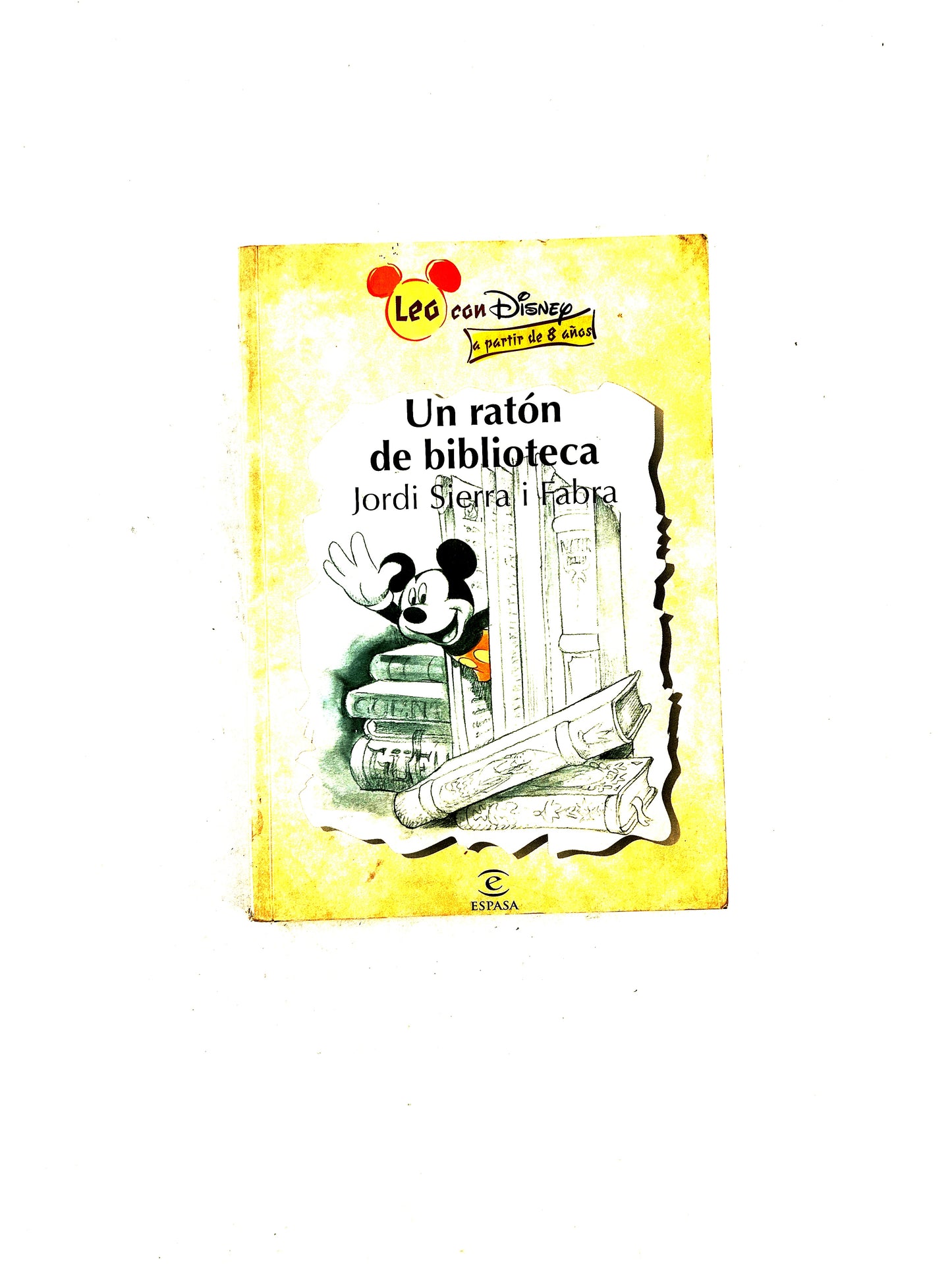 Un ratón de biblioteca