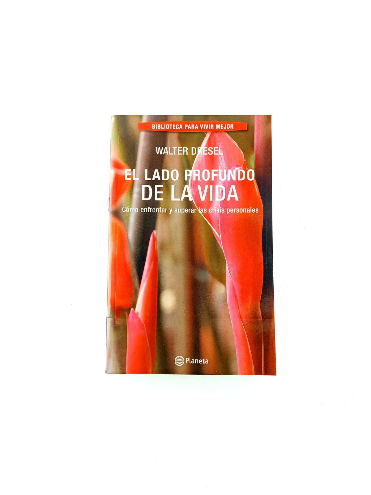 El lado profundo de la vida by Walter Dresel