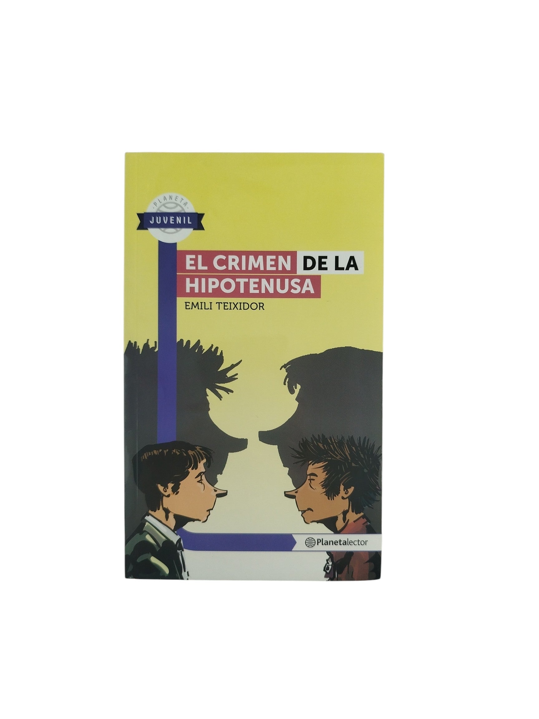 El crimen de la hipotenusa by Emili Teixidor
