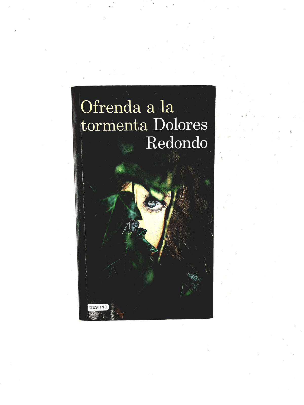 Ofrenda a la tormenta by Dolores Redondo