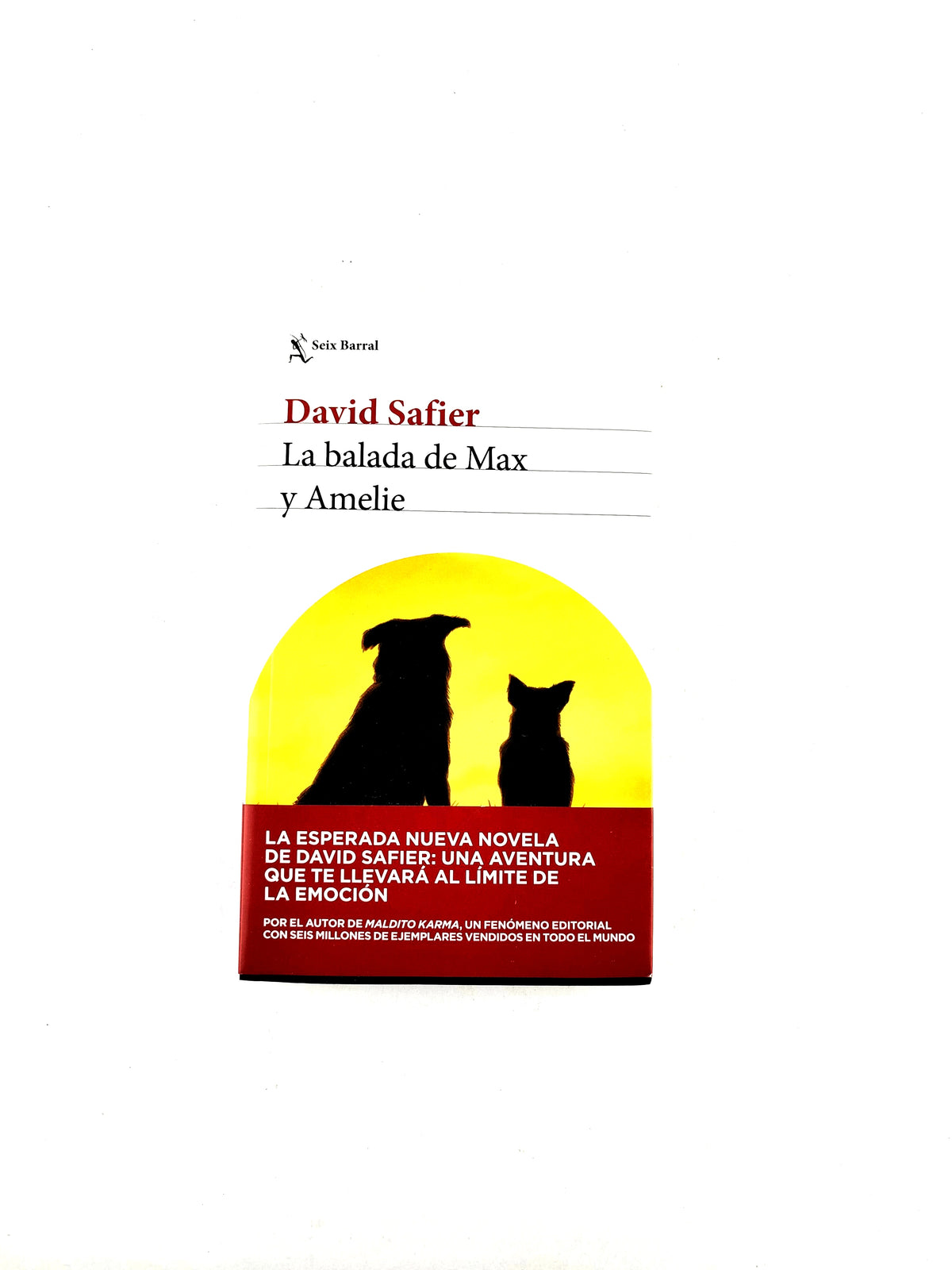 La balada de max y amelie by David Safier